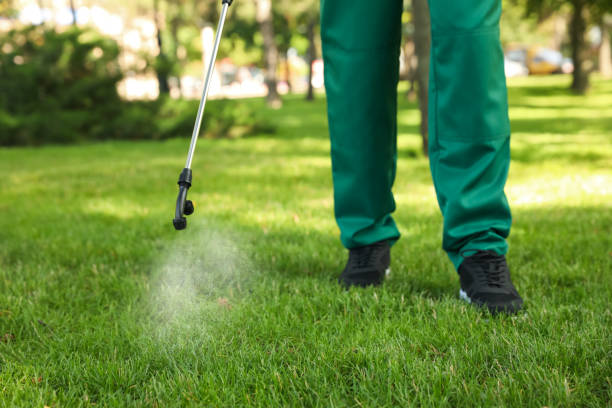 Best Local Pest Control Services  in Clinton, WI