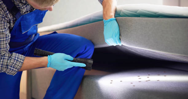 Best Pest Removal Services  in Clinton, WI